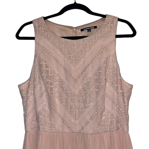 GIANNI BINI Lorena Lace Embroidered Sleeveless Chiffon Dress Gown in Petal Pink - Picture 6 of 16